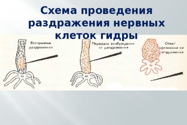 Кракен что продается